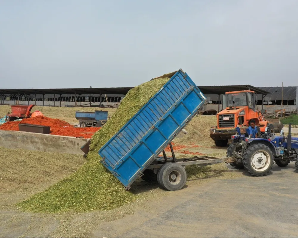 Feed Processing Companies