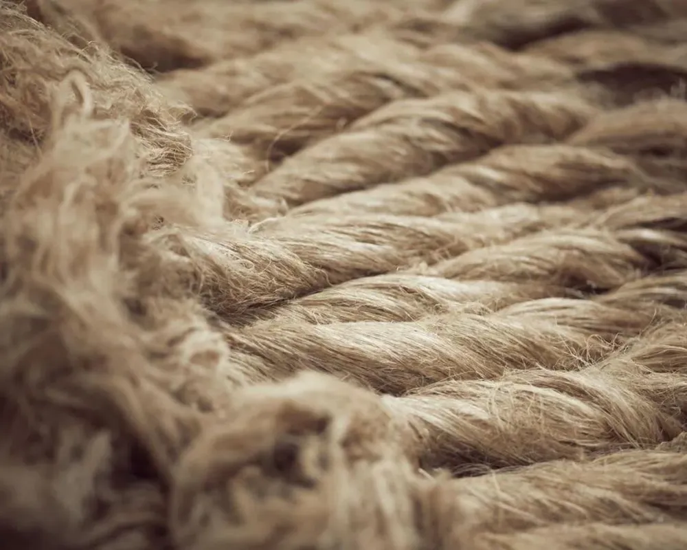 Natural Fiber Pprocessing Industry